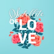 Satellite of Love