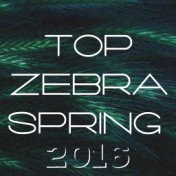 Top Zebra Spring 2016