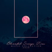 Blissful Snooze Time Music Collection 2020: New Age, Deep Sleep, Relaxation, Nature Sounds, Piano Melodies, Calm Down, Stress Re...
