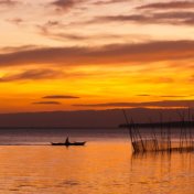 Sounds of Rain for Sleep and Serenity