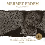 Mehmet Erdem