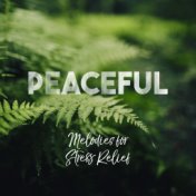 Peaceful Melodies for Stress Relief