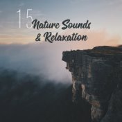 15 Nature Sounds & Relaxation