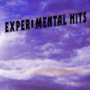 Experimental Hits