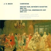 BACH, J.S.: Cantatas - BWV 202, 210 (Popp, Mathis)