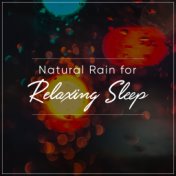 16 Tracks to Aid Sleep: Rain Sounds & White Noise