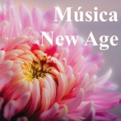 Música New Age – Meditación Zen y Reiki, Sonidos de la Naturaleza para Aprender a Meditar y a Trabajar Concentrado