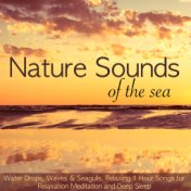 Nature Sounds of the Sea –  Water Drops, Waves & Seagulls, Relaxing 1 Hour Songs for Relaxation Meditation and Deep Sleep