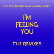 I'm Feeling You - The Remixes