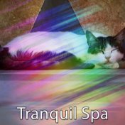 Tranquil Spa