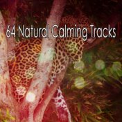 64 Natural Calming Tracks