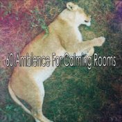 60 Ambience For Calming Rooms