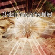 43 Relaxing Sounds For Peaceful Rest