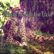 53 Dream The Night Away Tracks