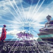 46 Presentations Of Nature