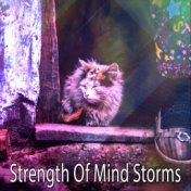 Strength Of Mind Storms