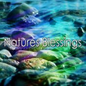 Natures Blessings