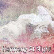 Harmony At Night