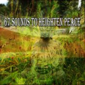 67 Sounds To Heighten Peace