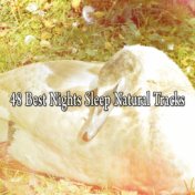48 Best Nights Sleep Natural Tracks
