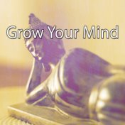 Grow Your Mind