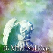 48 Mind Nullifiers
