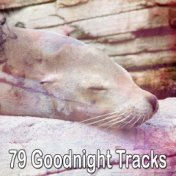 79 Goodnight Tracks