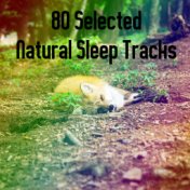 80 Selected Natural Sleep Tracks