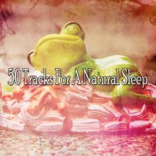 50 Tracks For A Natural Sleep