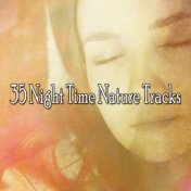 35 Night Time Nature Tracks