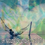 34 Natural Sounds For Tai Chi