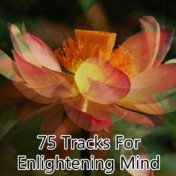 75 Tracks For Enlightening Mind