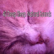 40 Deep Sleep Natural Sounds