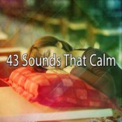 43 Sounds That Calm