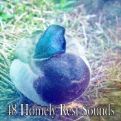 48 Homely Rest Sounds