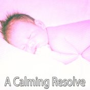 A Calming Resolve