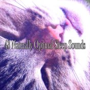 43 Naturally Optimal Sleep Sounds