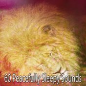 60 Peacefully Sleepy Sounds
