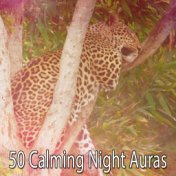 50 Calming Night Auras