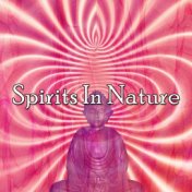 Spirits In Nature