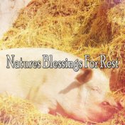 Natures Blessings For Rest