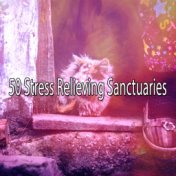 50 Stress Relieving Sanctuaries