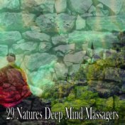 29 Natures Deep Mind Massagers