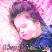 41 Sleepy Night Natural Sounds