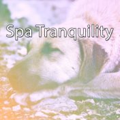 Spa Tranquility