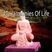47 Harmonies Of Life