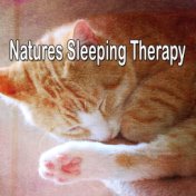 Natures Sleeping Therapy