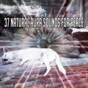 37 Natural Aura Sounds For Peace