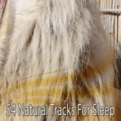 54 Natural Tracks For Sleep