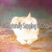 75 Naturally Sapping Sounds
